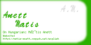 anett matis business card